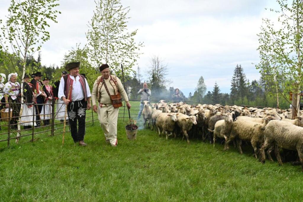 Penzion Zbojnicky Halas Tisovec المظهر الخارجي الصورة